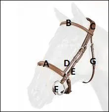 Citez le nom du filet du chiffre E !