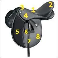 Citez le nom de la selle du num&eacute;ro 4 !