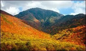 Ces montagnes inférieures à 2000 mètres et magnifiquement colorées en automne forment le parc national des Great Smoky Mountains. Nous voici :