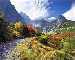 Le parc national des Hautes-Tatras se situe en :
