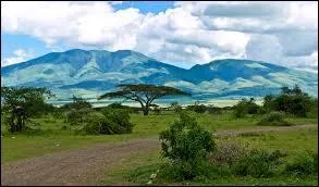 Restons sur le continent africain avec le parc national du Serengeti. Pour y faire un safari, vous devrez vous rendre :
