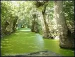 C'est la capitale du marais sauvage, au coeur du Marais poitevin.