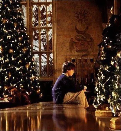 En 1994, Dobby donne à Harry une paire de chaussettes dépareillées, dont une comportant...