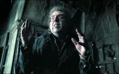 C'est davantage un échange de bons procédés qu'autre chose, mais qu'offre Voldemort à son serviteur Peter Pettigrow en remerciement de sa loyauté ?