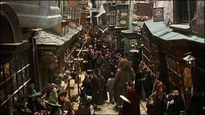 Qu'offre Hagrid à Harry lors de sa première virée sur le Chemin de Traverse ?