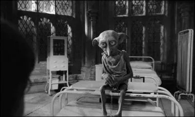 Pour qu'un elfe de maison soit libre, il doit recevoir un cadeau de la part de son maître. Mais quel cadeau exactement ?