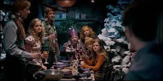 Qu'a coutume d'offrir Mrs Weasley à ses enfants pour Noël ?