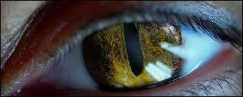 Elle est &agrave; quel pourcentage quand ses yeux changent de couleur ?