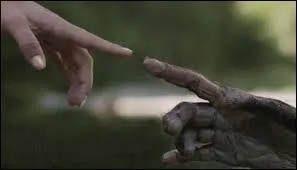 Que se passe-t-il quand le singe et Lucie se touchent du bout du doigt ?