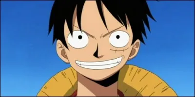 De quel type est le fruit du démon de Luffy ?