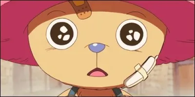 De quel type est le fruit du démon de Chopper ?