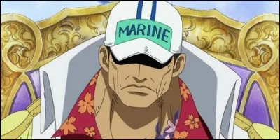 De quel type est le fruit du démon d'Akainu ?