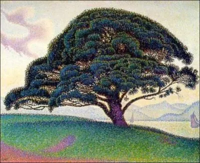 Qui a peint Le pin à Saint Tropez ?