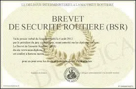 Quel type de véhicule le BSR permet-il de conduire ?