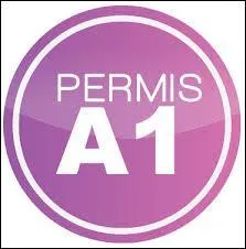 Lors de l'épreuve du permis A1, le candidat doit être accompagné :