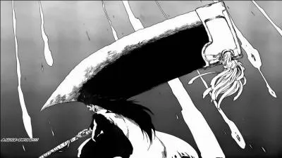 Enfin, Kenpachi révèle la véritable identité de son Zanpakuto. Mais comment s'appelle-t-il ?