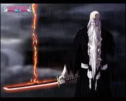 Le commandant du Gotei 13 révèle son Bankai mais quel est son nom ?