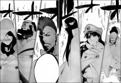 Qui sont les Stern Ritters ?