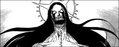 Quel est le nom de ce Stern Ritter qui fait face à Byakuya ?