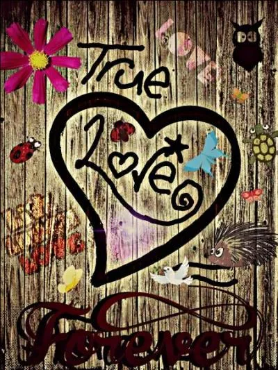 Combien de caractères peux-tu écrire dans ton "Que fais-tu ?" ?