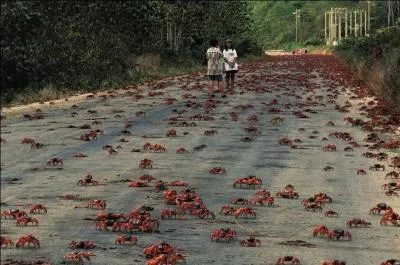 Difficile de se tromper, vous êtes bien en Afrique !