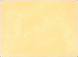 C'est une couleur se déclinant entre jaune-chamois clair et abricot. Elle porte le nom d'une toile de la capitale Nord chinoise.