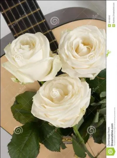 Qu'est-ce qui est mort dans une chanson de Renaud ?