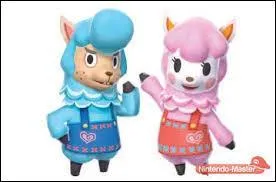 Comment s'appelle le magasin de recyclage ?