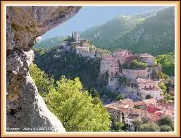 Pour finir, je vous emmène à la découverte de Tourrette-Levens, commune pacaïenne située dans le département ...