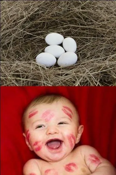 À qui sont ces ufs ?