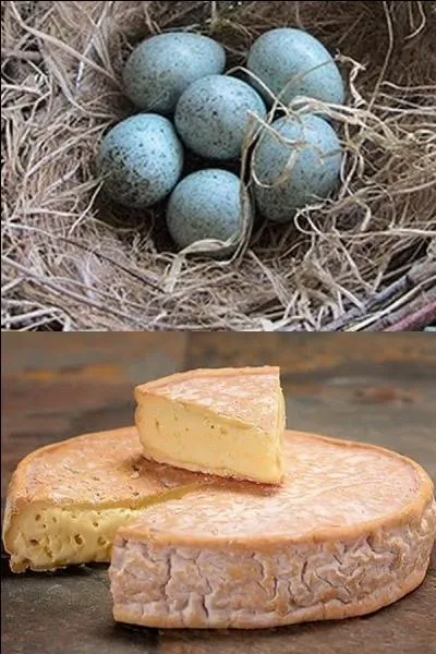 À qui sont ces ufs ?