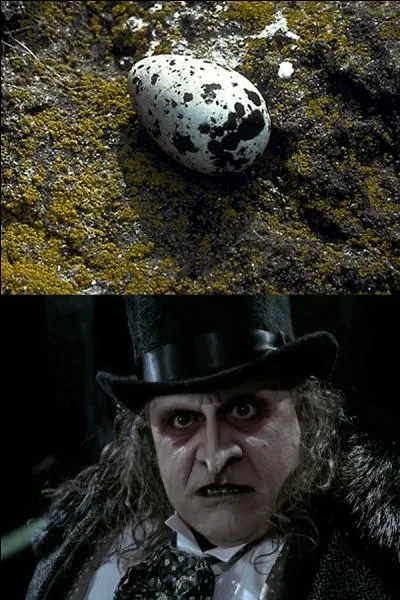 À qui sont ces ufs ?