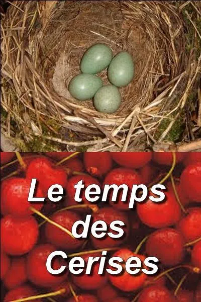 À qui sont ces ufs ?