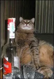 Parmi ces marques courantes/industrielles de vodka, laquelle n'est pas russe ?