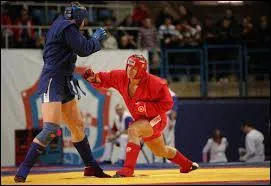 Ce sport de combat est né en Russie au début du XXe siècle. C'est un habile mélange de lutte, boxe, judo, karaté et aïkido. Cela porte le nom de :