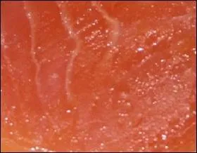 C'est un rose-orangé de la couleur de la chair fumée du poisson de même nom.