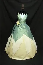 À qui est cette robe ?