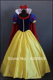 Quelle princesse porte cette jolie robe ?