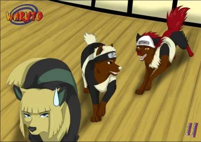 Nous voici maintenant avec des personnages de Naruto. De quelle team s'agit-il ?