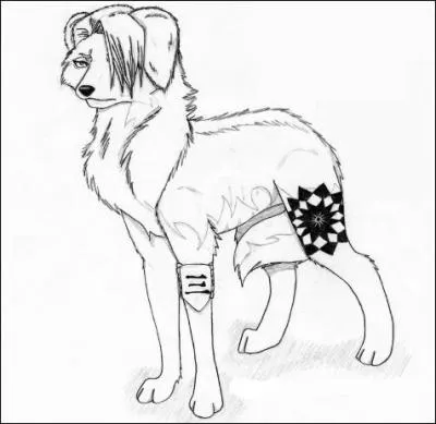 Qui est ce Shinigami ?