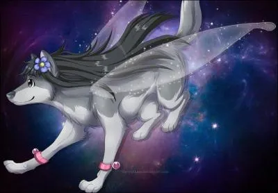 Quel personnage de "Sword Art Online" est sur cette image ?