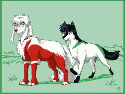 Qui sont-ils et de quel manga/anime viennent-ils ?