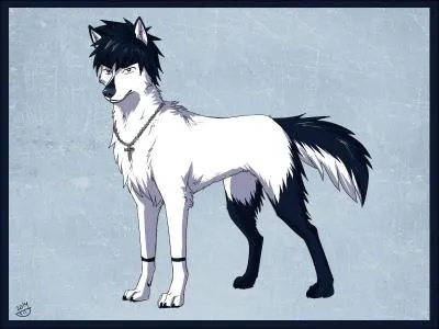 Qui est ce personnage venant de Fairy Tail ?