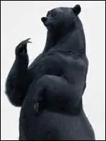 Comment sa maman a-t-elle été transformée en ours ?