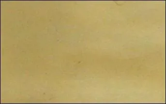 Cette couleur appartient au champ chromatique des jaunes, et elle est invariable en grammaire..., mais dans les pâtisseries elle se révèle royale finesse.