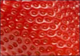 Jolie couleur rouge et douce comme le fruit dont elle tire le nom.