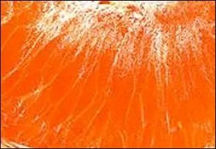 Couleur douce et claire comme l'est la chair de ce fruit connu depuis le XIXe siècle donnant son nom à un adjectif de couleur invariable.