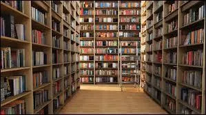 Comment s'appelle la personne qui travaille dans une bibliothèque ?