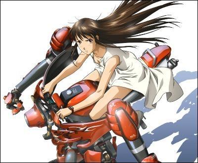 Retrouve le bon nom !