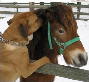 Je vous le dis en aparté, surtout ne le répétez pas !